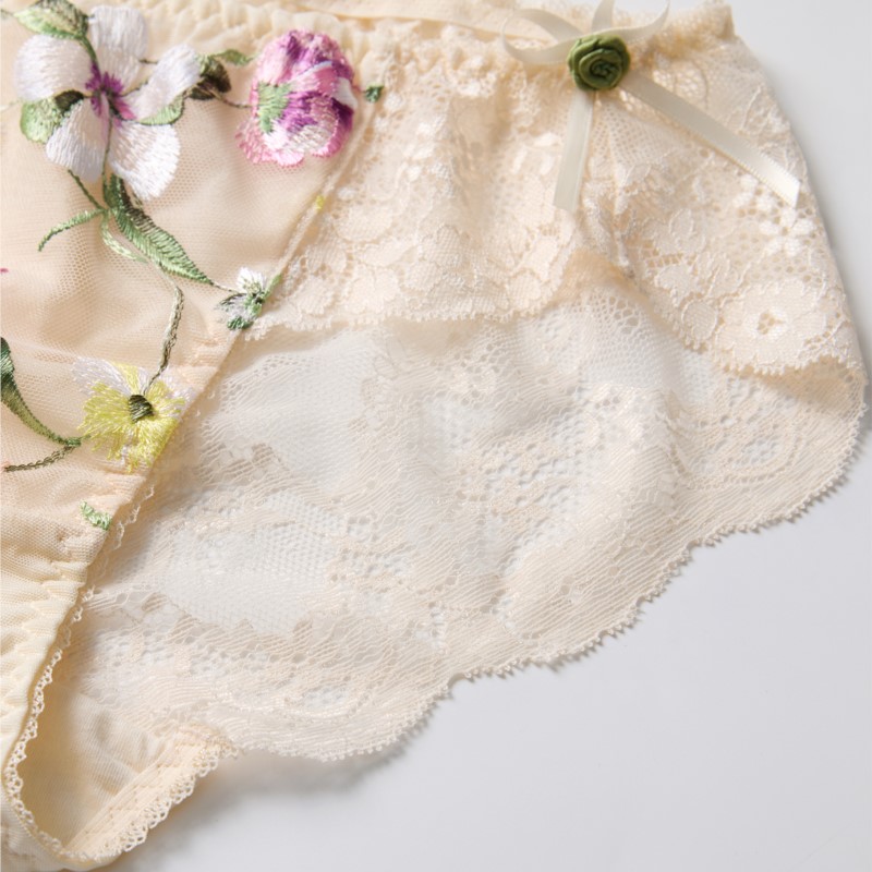 레이스 시스루 여성 섹시 란제리 로우 웨이스트 꽃 자수 - Embroidery Flower 리뷰 및 가격
