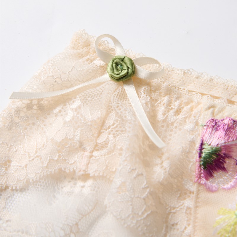 레이스 시스루 여성 섹시 란제리 로우 웨이스트 꽃 자수 - Embroidery Flower 리뷰 및 가격